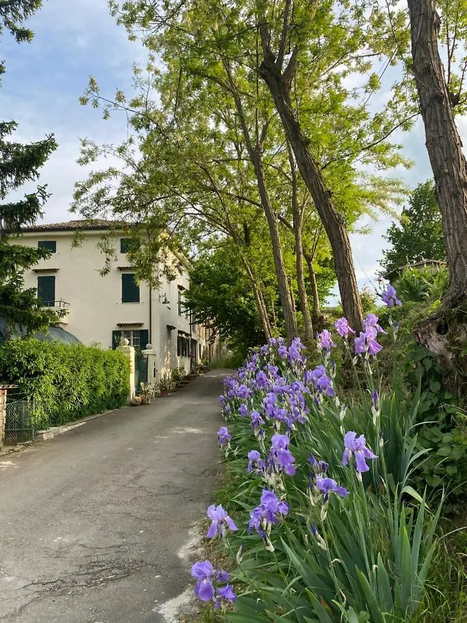 Christy House Bed & Breakfast Vignale